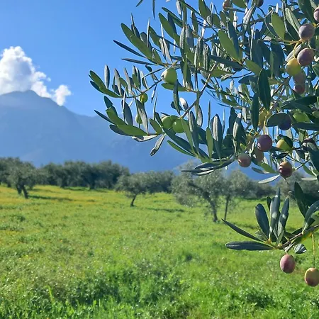 Bed & Breakfast Antica Cluviae *