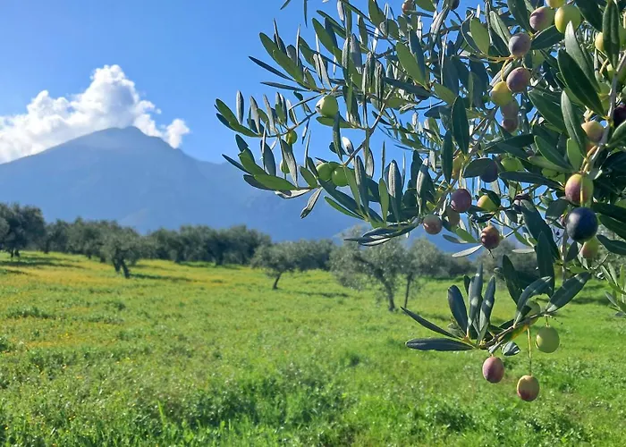 B&B Antica Cluviae *