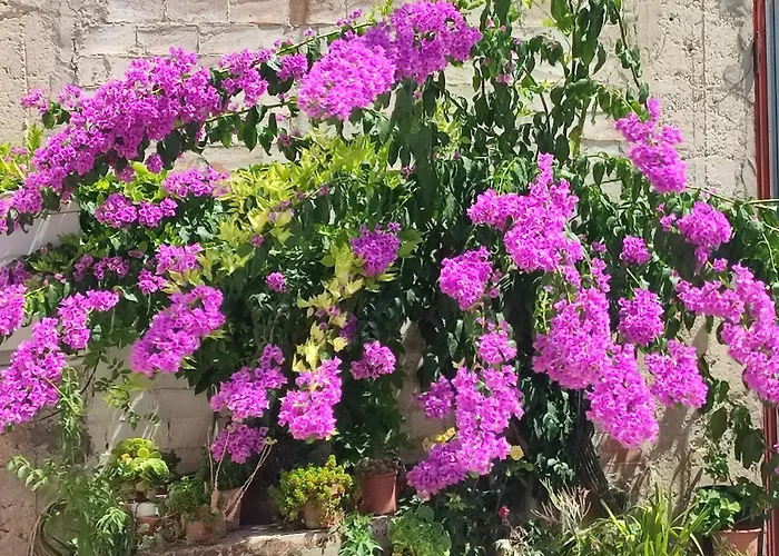 Antica Cluviae Palombaro